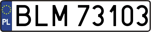 BLM73103