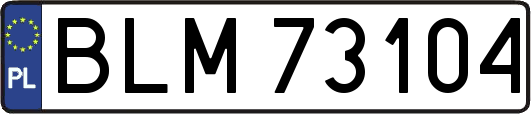 BLM73104