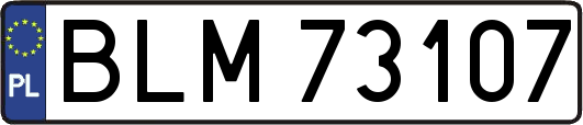 BLM73107