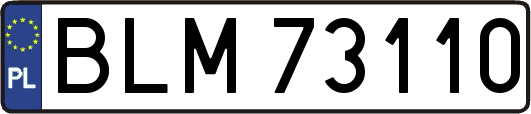 BLM73110