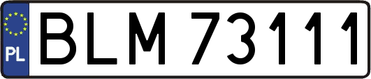 BLM73111