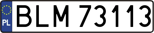 BLM73113