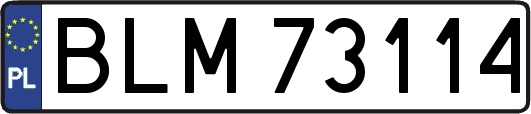 BLM73114