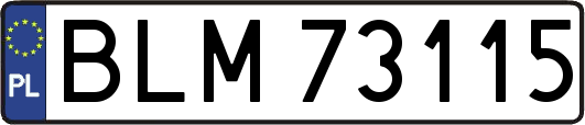 BLM73115