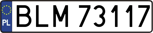 BLM73117