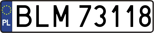 BLM73118