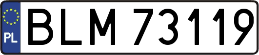 BLM73119