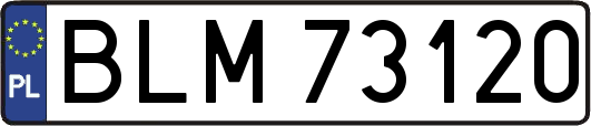 BLM73120