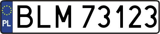 BLM73123