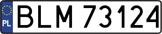 BLM73124