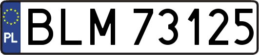 BLM73125