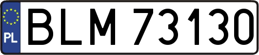 BLM73130