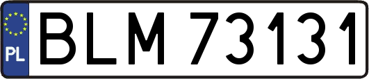 BLM73131