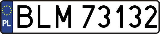 BLM73132
