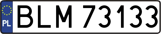 BLM73133