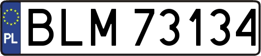 BLM73134