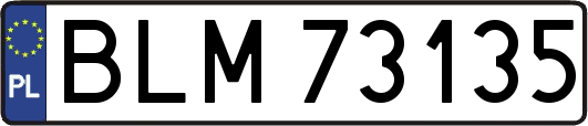 BLM73135
