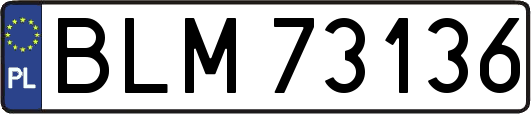 BLM73136