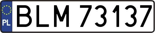 BLM73137