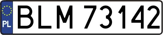 BLM73142