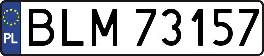 BLM73157