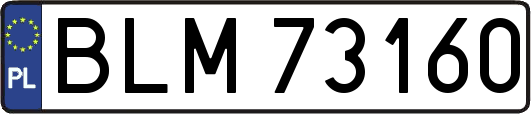BLM73160