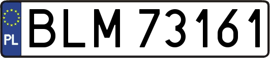 BLM73161