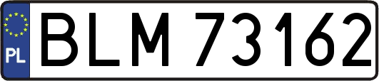 BLM73162