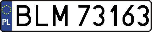 BLM73163