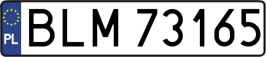 BLM73165