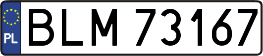 BLM73167