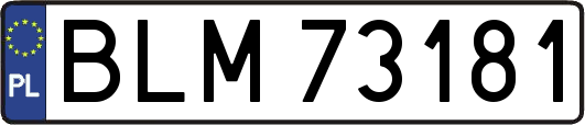 BLM73181
