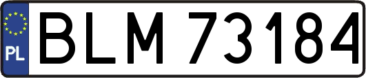 BLM73184
