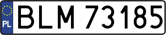 BLM73185
