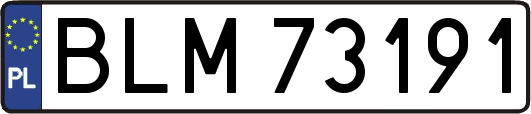 BLM73191