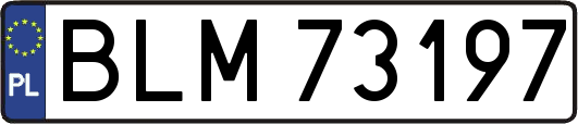 BLM73197