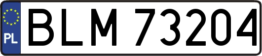 BLM73204