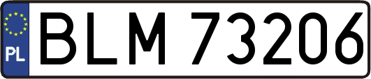 BLM73206