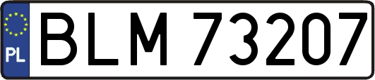 BLM73207