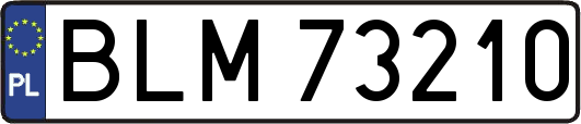 BLM73210