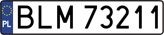 BLM73211