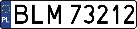 BLM73212