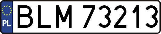 BLM73213