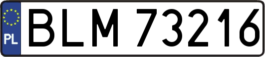 BLM73216