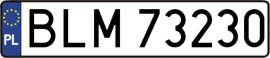 BLM73230