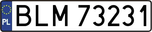 BLM73231