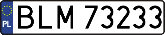 BLM73233