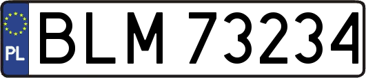 BLM73234