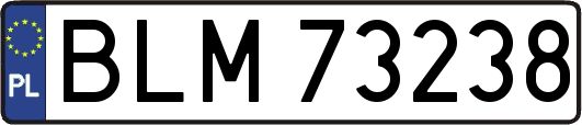 BLM73238