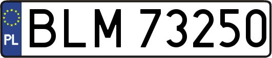 BLM73250